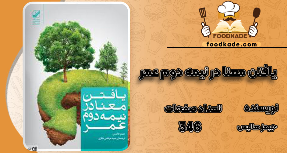 دانلود کتاب یافتن معنا در نیمه دوم عمر جیمز هالیس